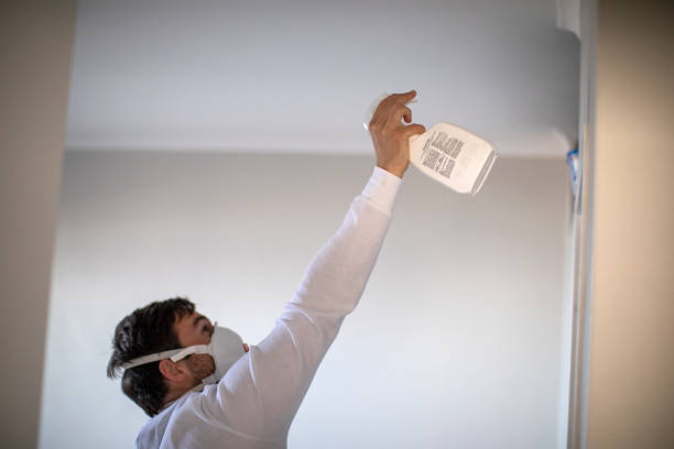 Best Emergency Mold Removal  in North El Monte, CA