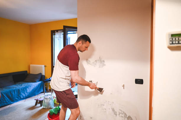 Best Water Damage Restoration  in North El Monte, CA